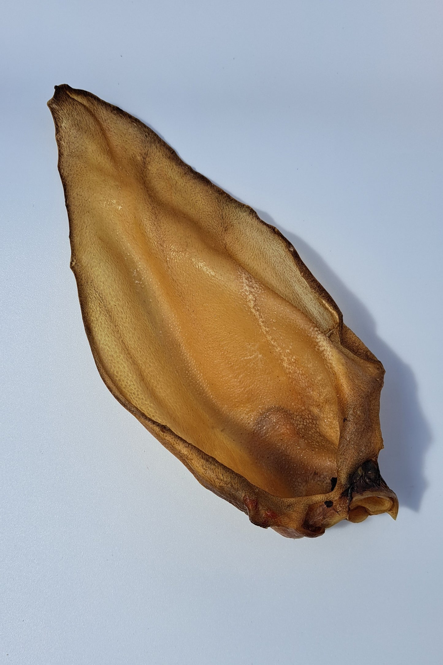 Pick N Mix - Buffalo Ears (Medium)