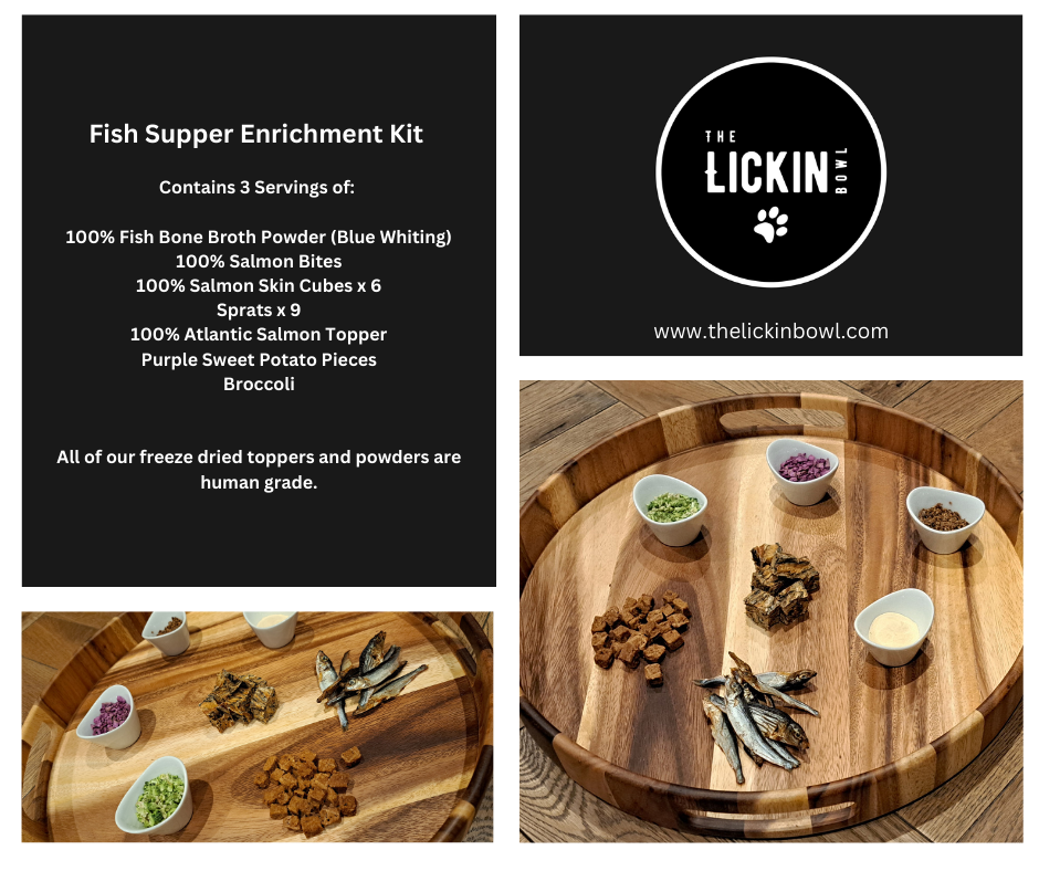 Enrichment Gift Box - So Fishy