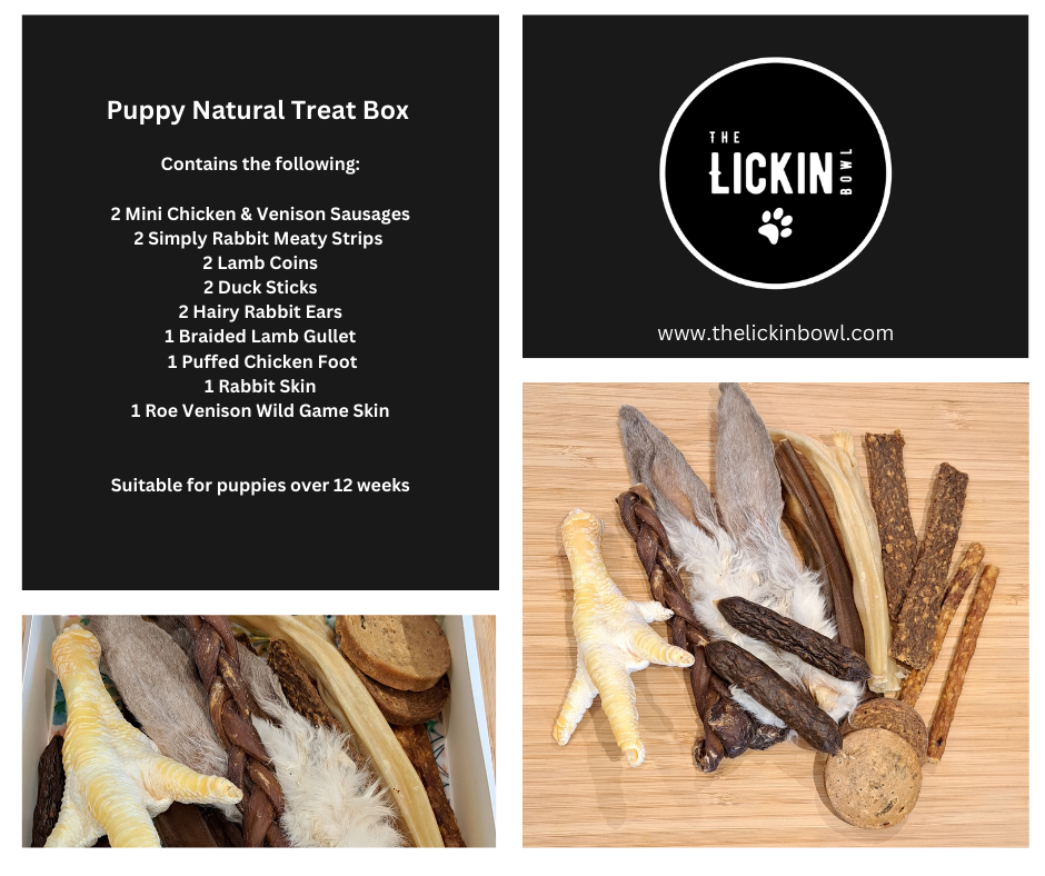 Natural Treat Box - Puppy (14 pieces)