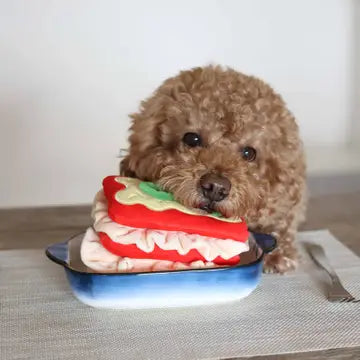 Enrichment Toy - Lasagna Pups & Bubs