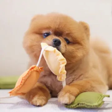 Enrichment Toy -  Ravioli Pups & Bubs