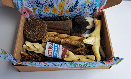 Natural Treat Box - Puppy