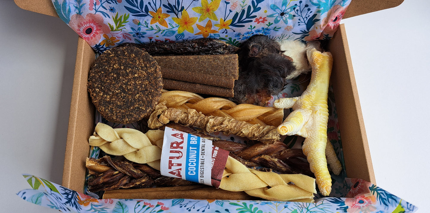 Natural Treat Box - Puppy