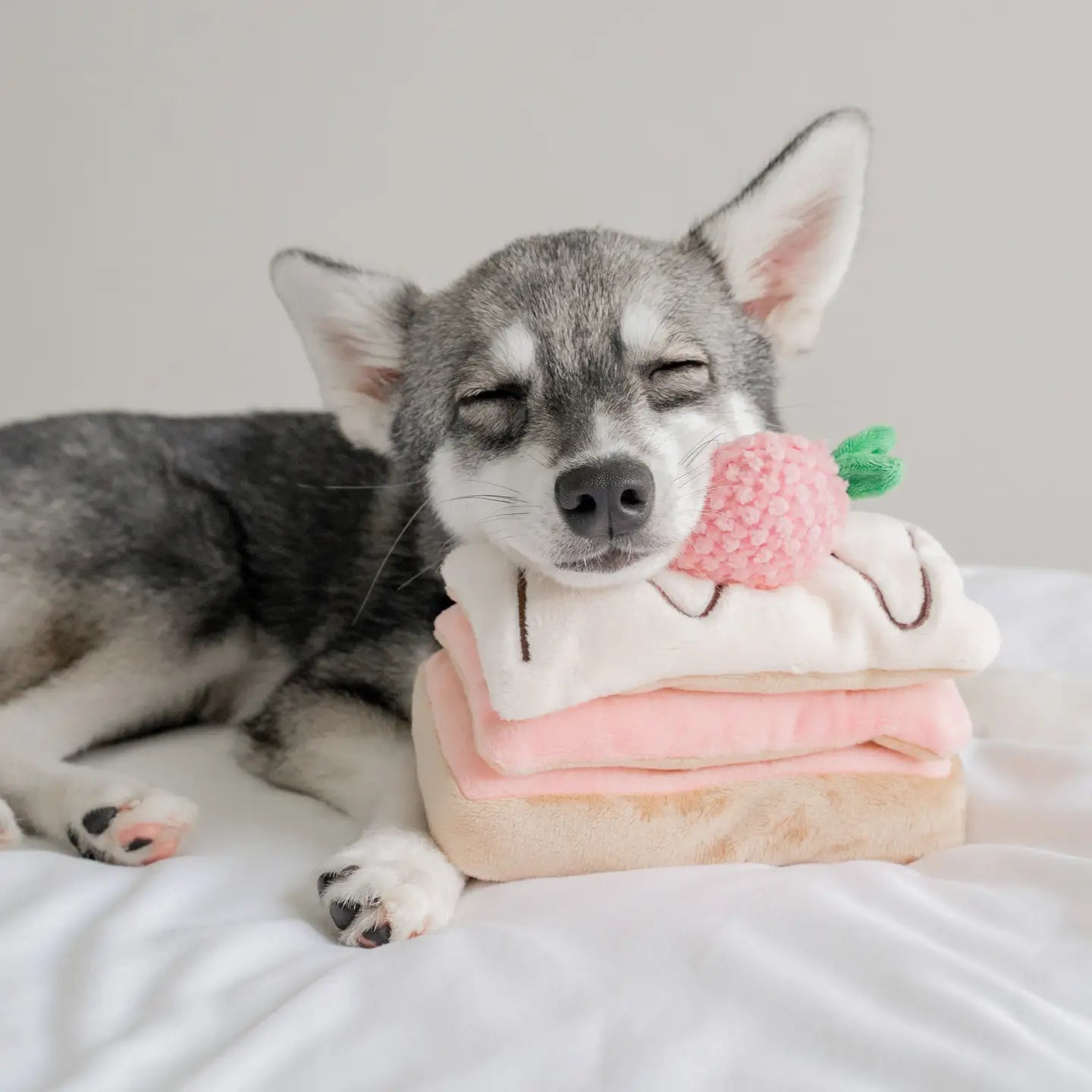 Enrichment Toy - Strawberry Mille-Feuille Pups & Bubs