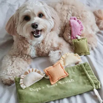 Enrichment Toy -  Ravioli Pups & Bubs