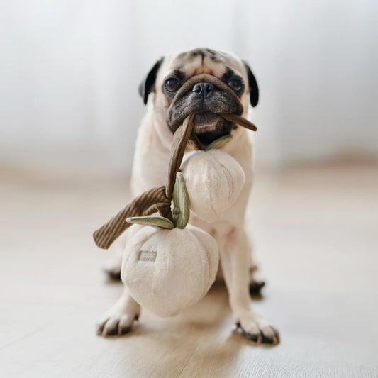 Enrichment Toy - Momo by Lambwolf Collective