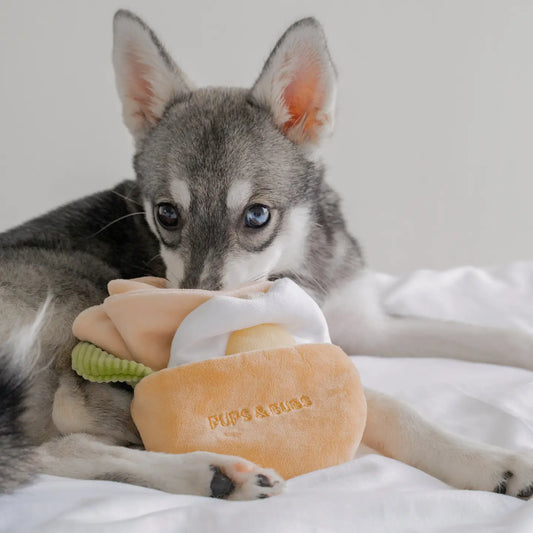 Enrichment Toy -  Pitta Pocket Pups & Bubs