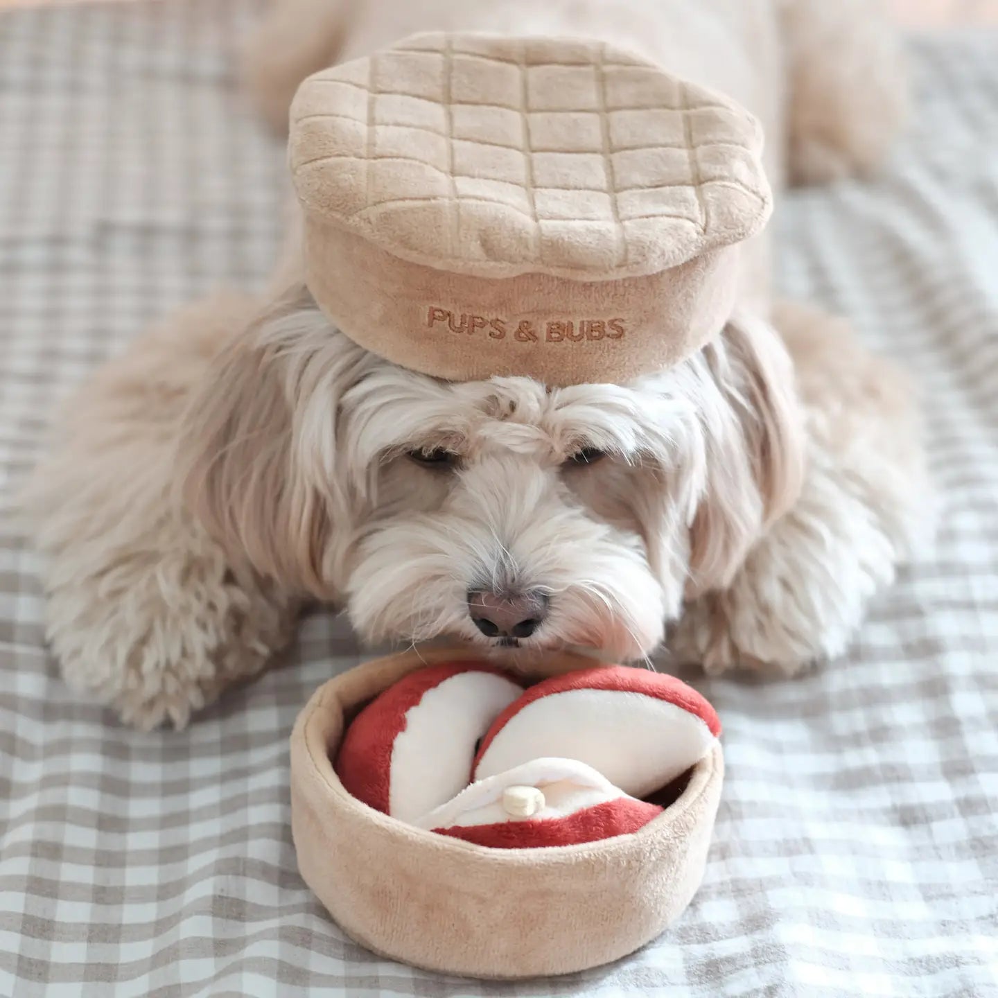 Enrichment Toy - Apple Pie Pups & Bubs