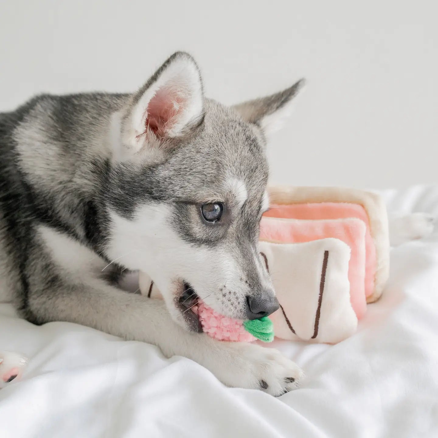 Enrichment Toy - Strawberry Mille-Feuille Pups & Bubs