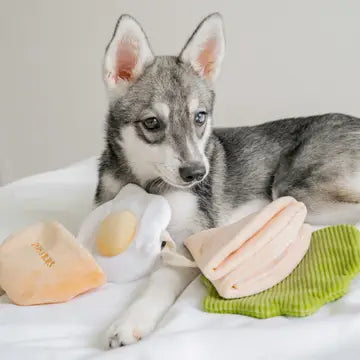 Enrichment Toy -  Pitta Pocket Pups & Bubs