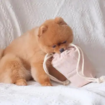 Enrichment Toy -  Popcorn Pups & Bubs