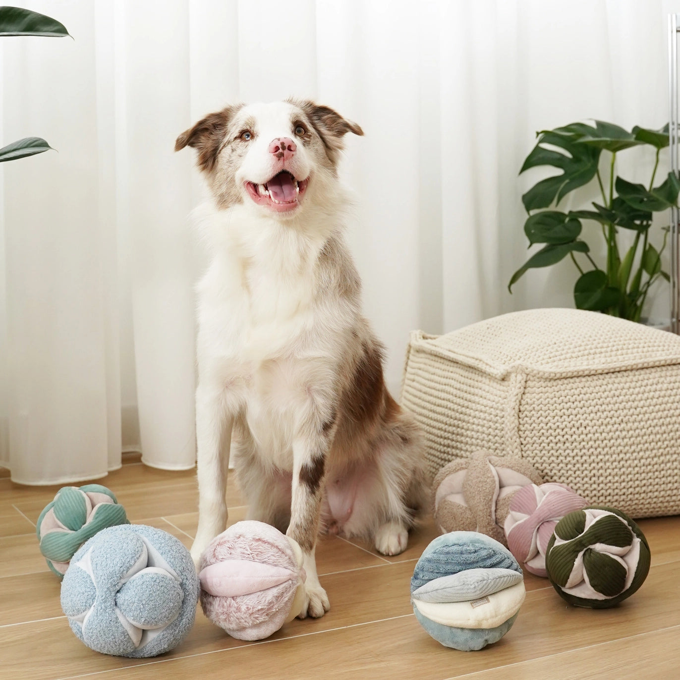 Enrichment Toy - Monti Snuffle Ball in Mint by Lambwolf Collective